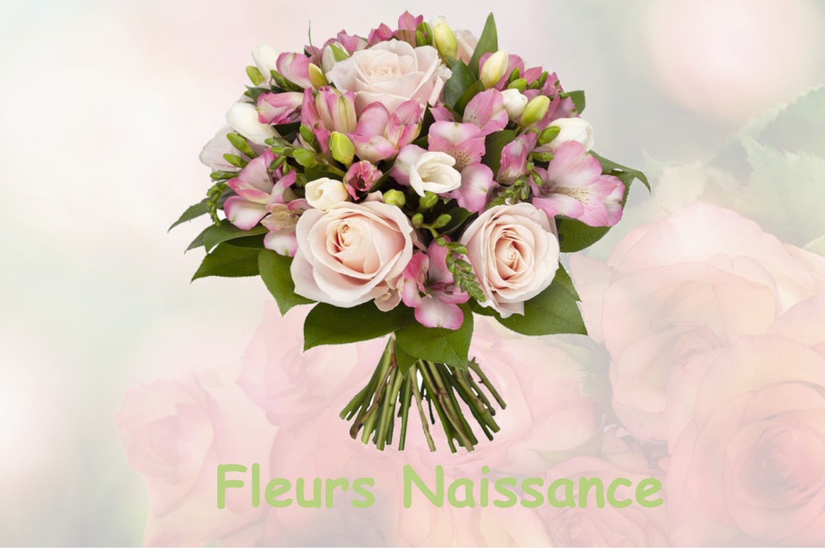 fleurs naissance DUGNY-SUR-MEUSE