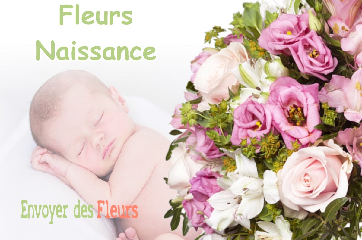 lIVRAISON FLEURS NAISSANCE à DUGNY-SUR-MEUSE